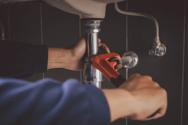 Best Commercial Plumbing Services  in Mammoth, AZ